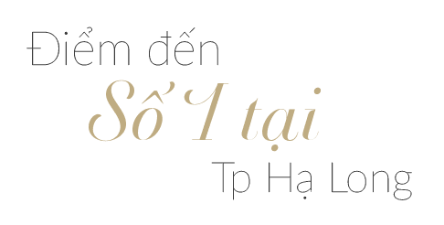 CÔNG TY CỔ PHẦN MAY PACIFIC